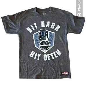 WWE Mens Gray Roman Reigns Hit Hard Hit Often Short Sleeve Crew Neck Tee M